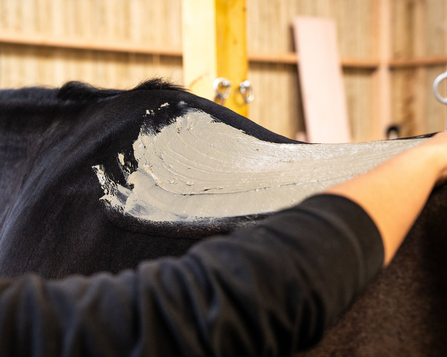 Equilibre Marin - Massage et enveloppement aux algues pour chevaux