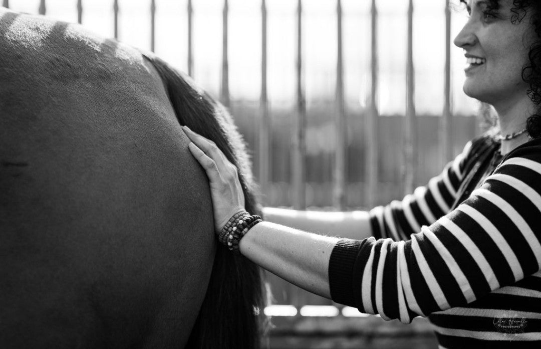 Soins Naturels et énergétique pour Animaux